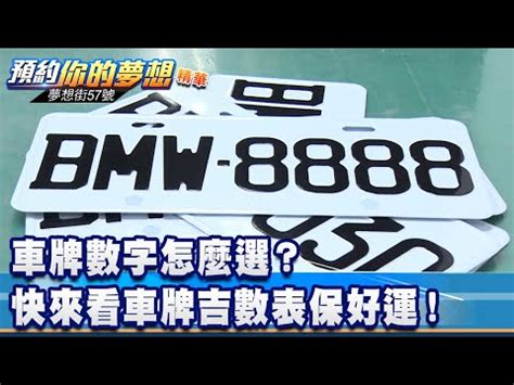 車牌英文字母吉凶|車牌英文選對旺財運